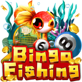 Câu Cá Bingo 13win cc